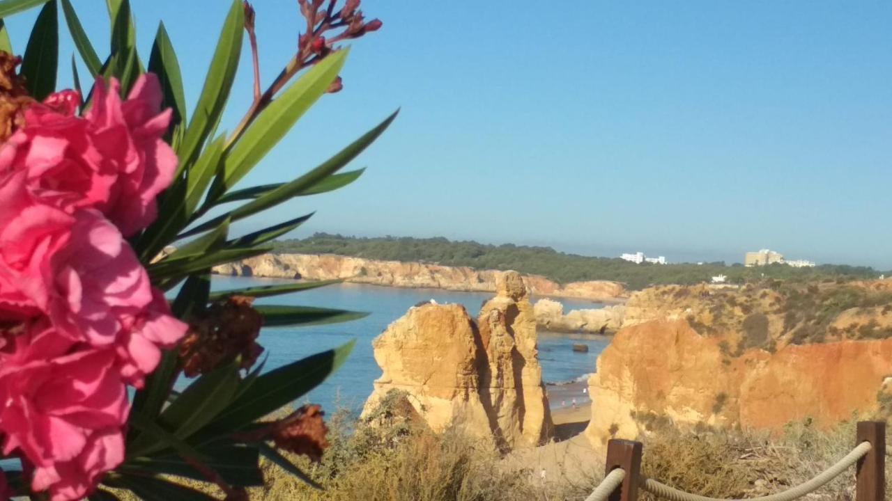 Albur Village B - Dandelion Alvor Kültér fotó